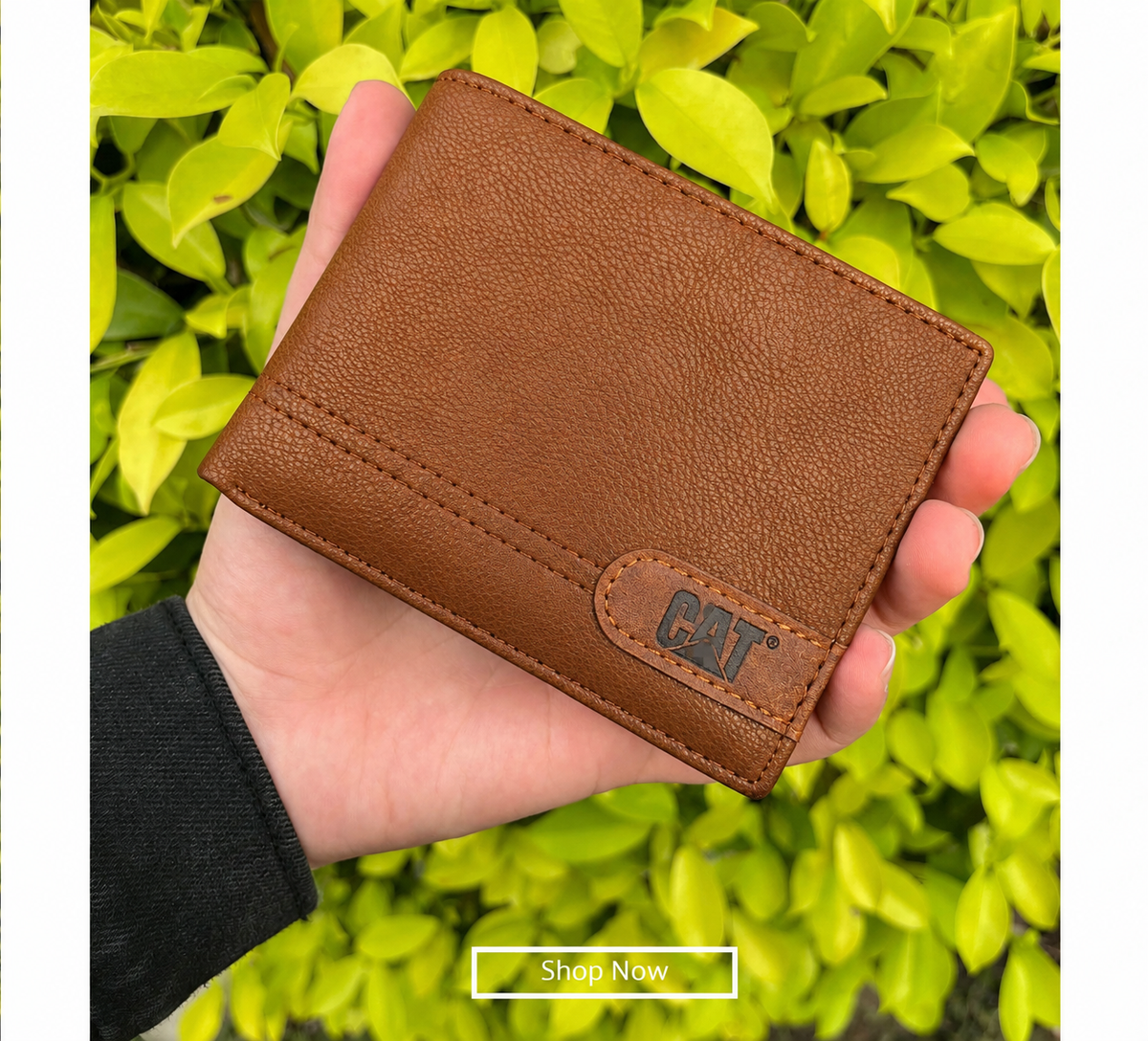Imported Branded Cut  Wallet