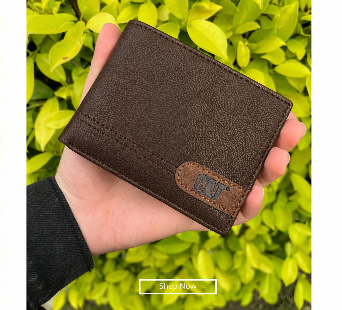 Imported Branded Cut  Wallet